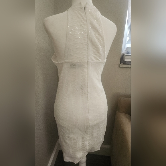 Bachelorette Bundle NWT Sequined Dress And Faux Fur Stole - Picture 5 of 11